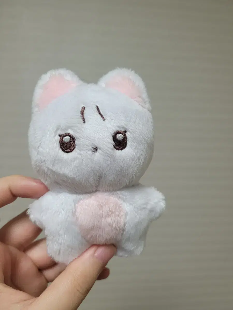 더보이즈 뉴 10cm 인형 비공굿 뉴냥이 양도